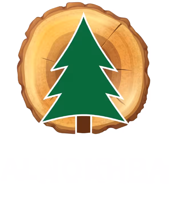 النخبة المضيئة